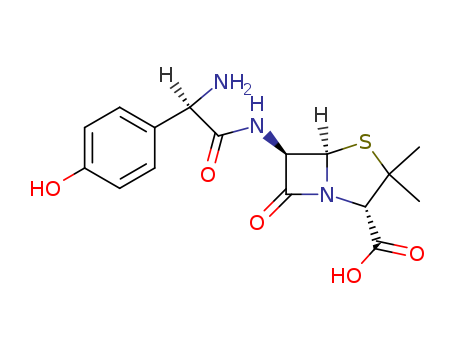 Amoxicillin