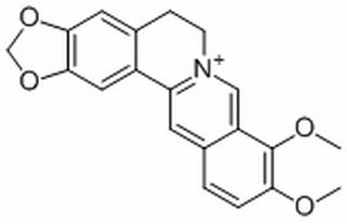 小檗堿