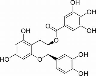 表兒茶素沒(méi)食子酸酯