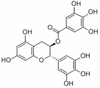 沒(méi)食子兒茶素沒(méi)食子酸酯