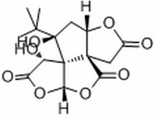 白果內酯