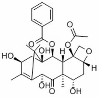 10-脫乙酰巴卡亭