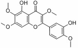 蔓荊子黃素