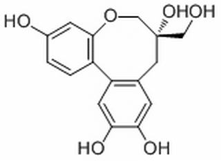 原蘇木素B