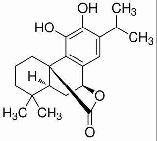 鼠尾草酚