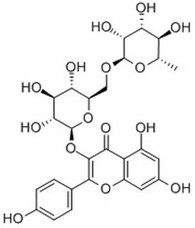 山柰酚-3-O-蕓香糖苷