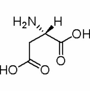 L-天冬氨酸