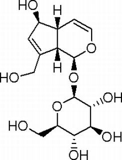 桃葉珊瑚苷