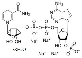 還原輔酶Ⅱ四鈉鹽