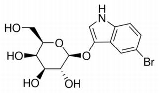 5-溴-3-吲哚基-β-D-吡喃半乳糖苷