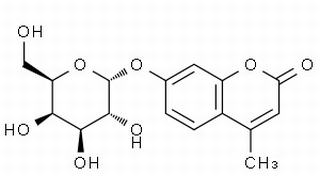 4-甲基傘形酮酰-α-D-吡喃糖苷