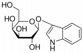 3-吲哚基-β-D-吡喃半乳糖苷