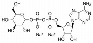 5'-二磷酸葡萄糖腺苷二鈉鹽