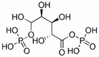 1，5二磷酸核酮糖