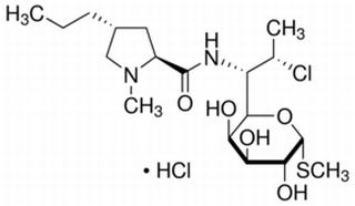 鹽酸克林霉素