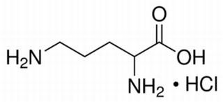 DL-鳥(niǎo)氨酸鹽酸鹽