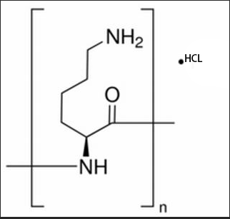多聚左旋賴氨酸