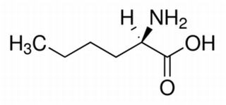 D-正亮氨酸