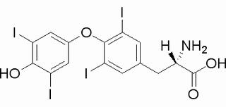 L-甲狀腺素