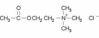 氯化乙酰膽堿