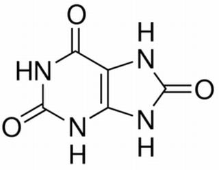 尿酸