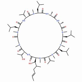 環(huán)孢菌素C